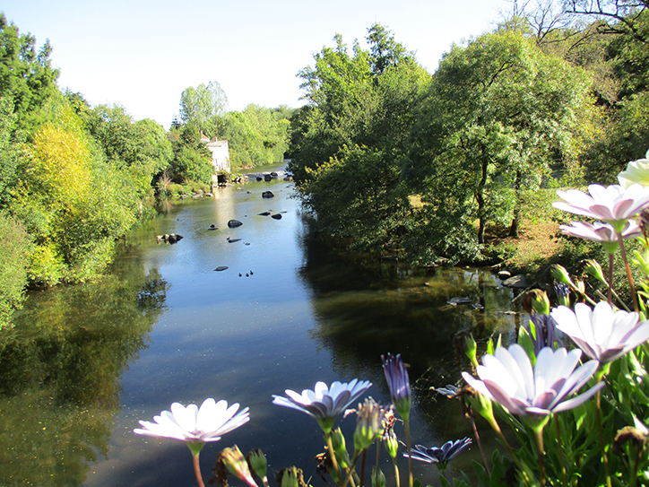 Sèvre Nantaise
