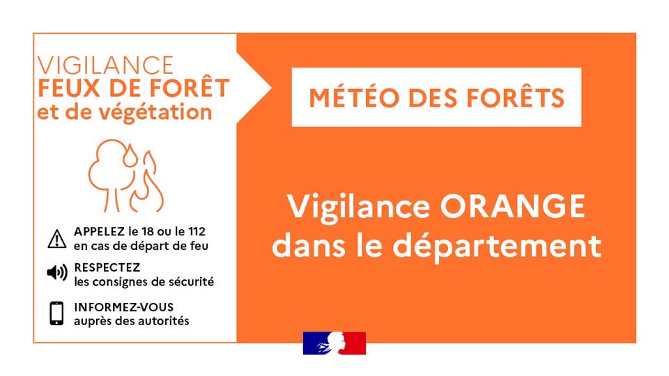 Météo des Forêts : risque élevé (orange)